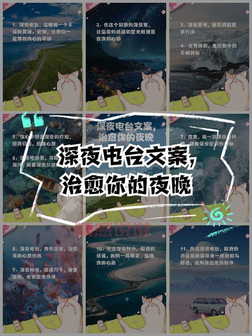 情感电台推荐哪个好?这几个深夜能治愈你的心灵。