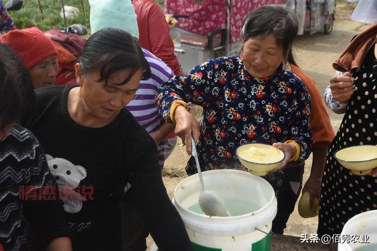 哪里打工既能赚钱又能找老婆?这几个地方机会大!