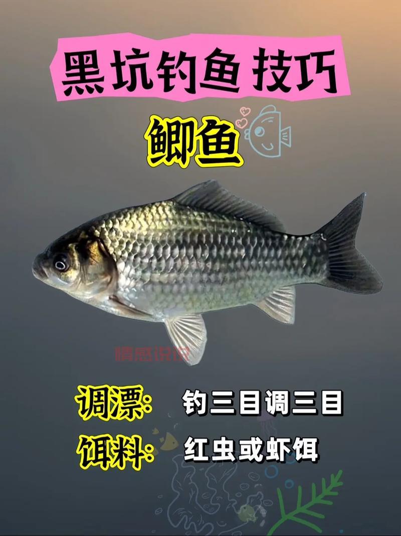 最新的滑县钓鱼群微信都在哪?找钓友交流钓鱼技巧看这里!