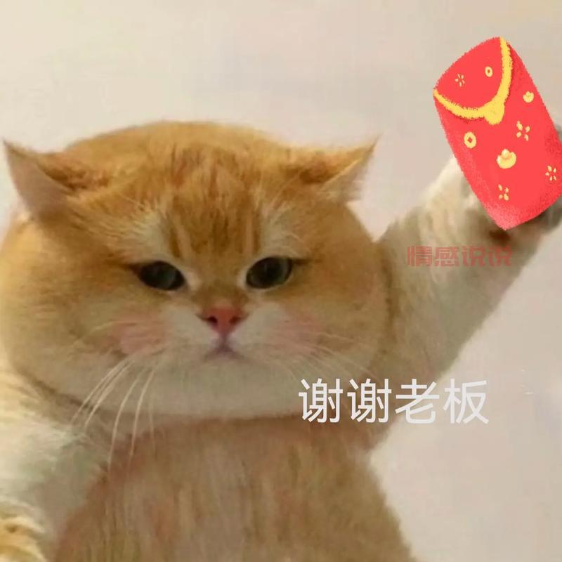 收到红包幽默感谢语大全,让你成为朋友圈最受欢迎的人