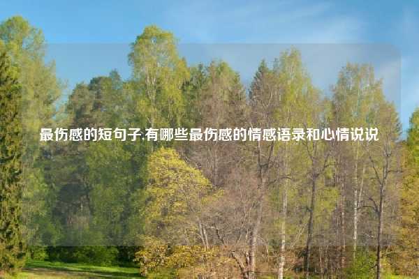 最伤感的短句子,有哪些最伤感的情感语录和心情说说