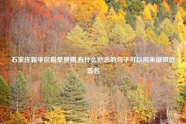 石家庄新华区脱单费用,有什么励志的句子可以用来做微信签名