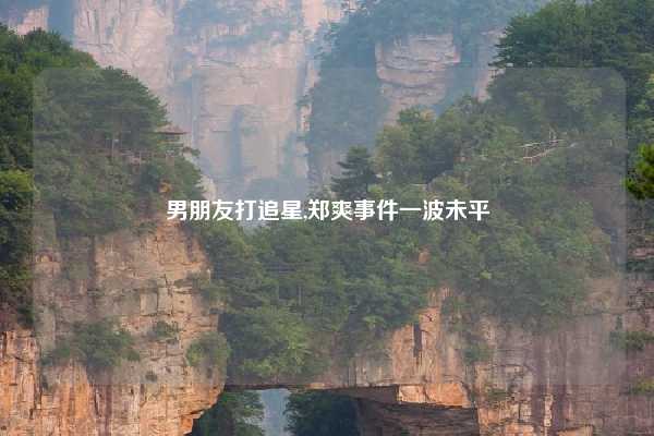 男朋友打追星,郑爽事件一波未平