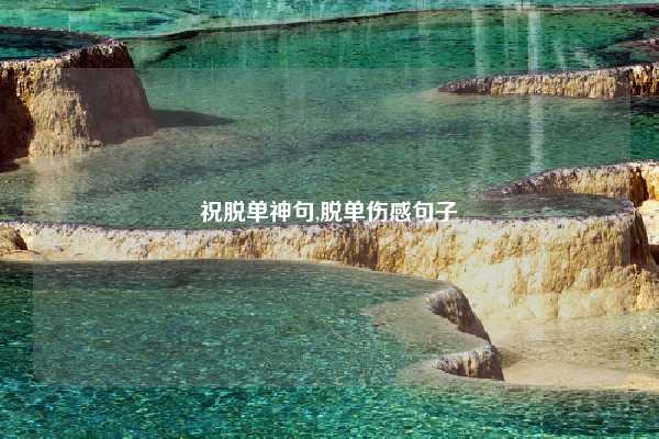 祝脱单神句,脱单伤感句子