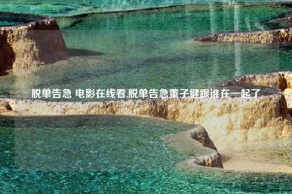 脱单告急 电影在线看,脱单告急董子健跟谁在一起了