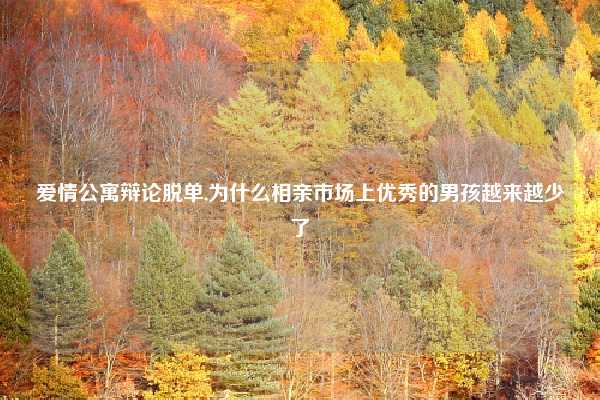 爱情公寓辩论脱单,为什么相亲市场上优秀的男孩越来越少了
