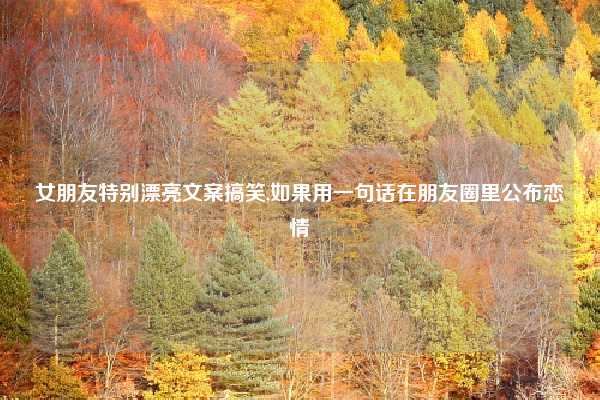 女朋友特别漂亮文案搞笑,如果用一句话在朋友圈里公布恋情