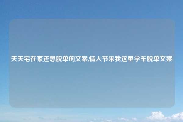 天天宅在家还想脱单的文案,情人节来我这里学车脱单文案