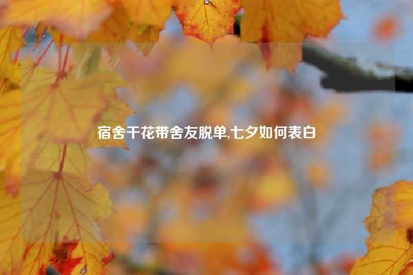 宿舍干花带舍友脱单,七夕如何表白