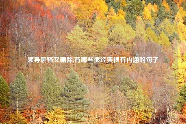 领导聊骚又删除,有哪些很经典很有内涵的句子