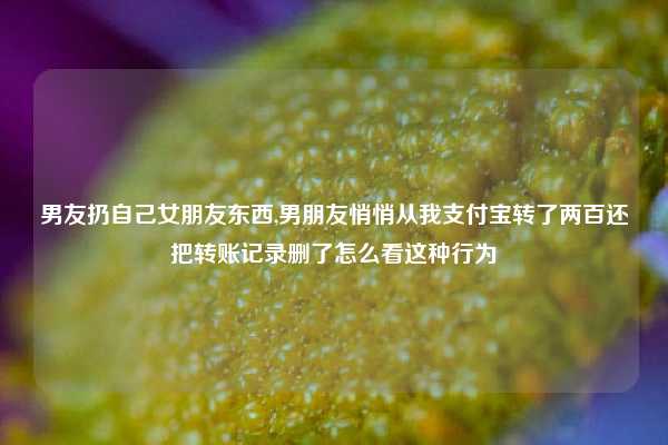 男友扔自己女朋友东西,男朋友悄悄从我支付宝转了两百还把转账记录删了怎么看这种行为