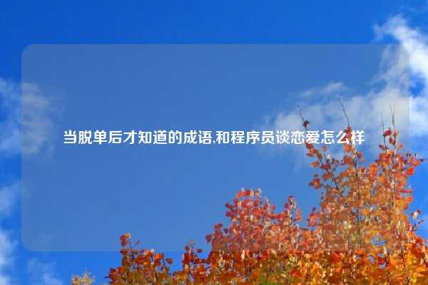 当脱单后才知道的成语,和程序员谈恋爱怎么样