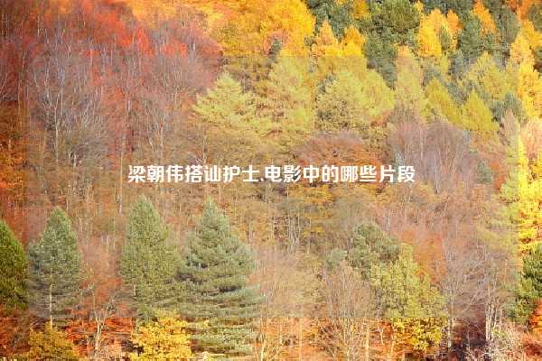 梁朝伟搭讪护士,电影中的哪些片段