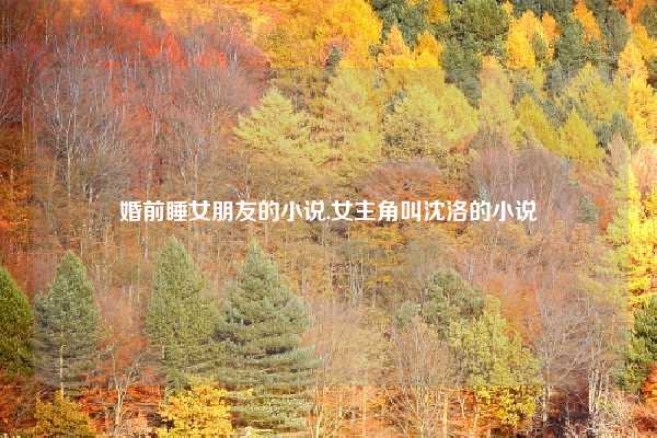 婚前睡女朋友的小说,女主角叫沈洛的小说