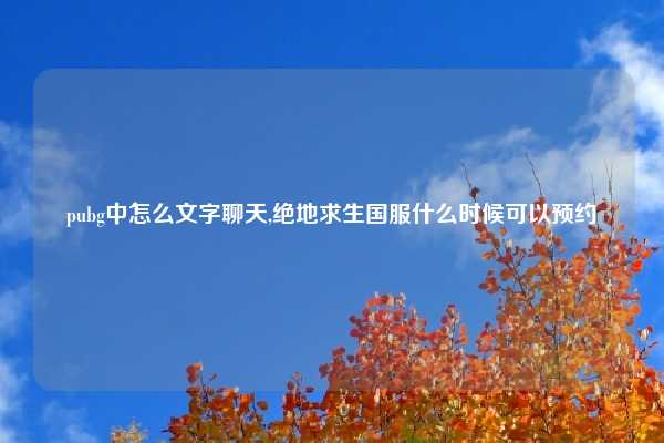 pubg中怎么文字聊天,绝地求生国服什么时候可以预约