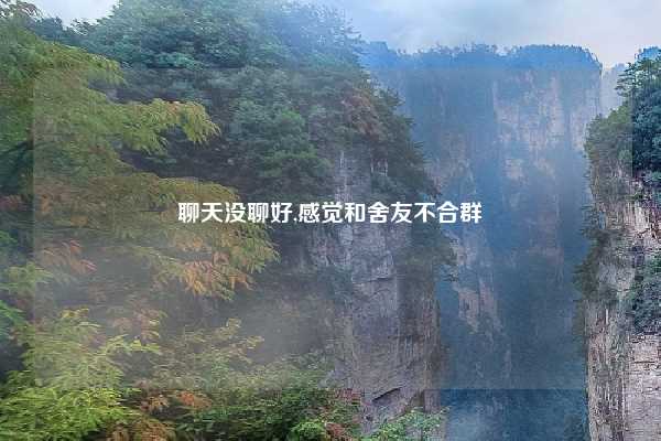 聊天没聊好,感觉和舍友不合群