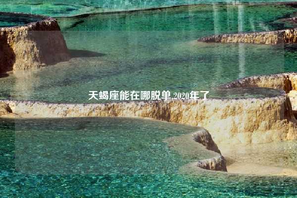 天蝎座能在哪脱单,2020年了