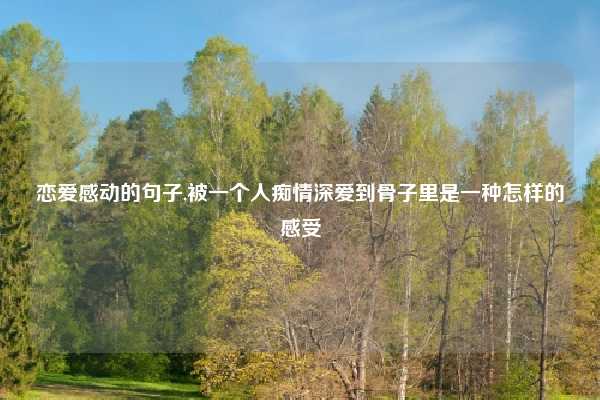 恋爱感动的句子,被一个人痴情深爱到骨子里是一种怎样的感受