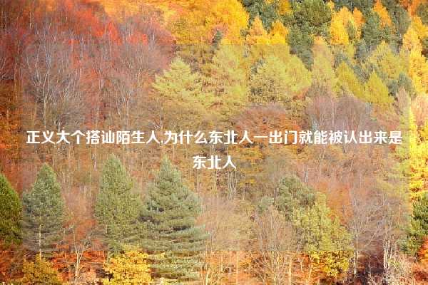 正义大个搭讪陌生人,为什么东北人一出门就能被认出来是东北人