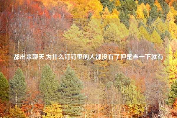 都出来聊天,为什么钉钉里的人都没有了但是查一下就有