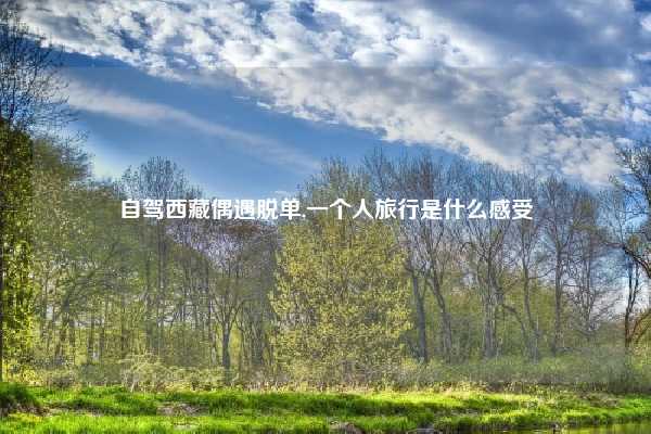 自驾西藏偶遇脱单,一个人旅行是什么感受