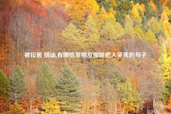 被拉黑 搭讪,有哪些发朋友圈能把人笑死的句子