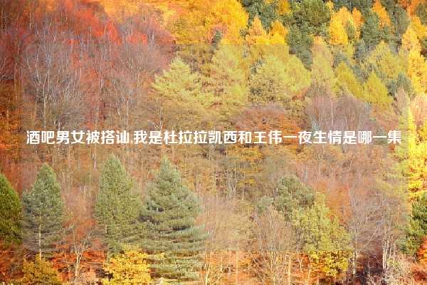 酒吧男女被搭讪,我是杜拉拉凯西和王伟一夜生情是哪一集