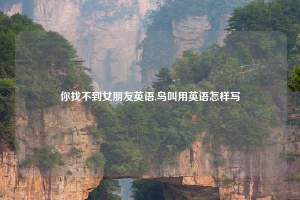 你找不到女朋友英语,鸟叫用英语怎样写
