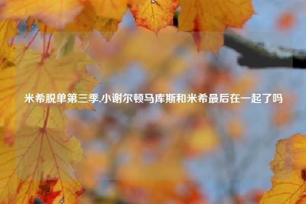 米希脱单第三季,小谢尔顿马库斯和米希最后在一起了吗