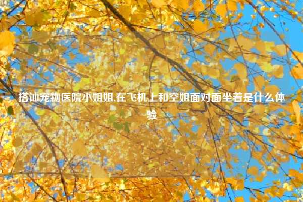 搭讪宠物医院小姐姐,在飞机上和空姐面对面坐着是什么体验