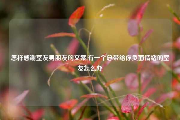 怎样感谢室友男朋友的文案,有一个总带给你负面情绪的室友怎么办