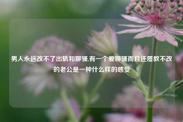 男人永远改不了出轨和聊骚,有一个爱聊骚而且还屡教不改的老公是一种什么样的感受