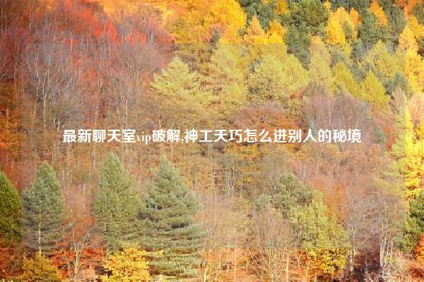 最新聊天室vip破解,神工天巧怎么进别人的秘境