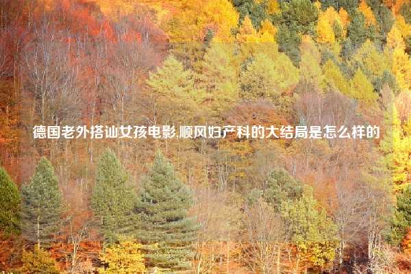 德国老外搭讪女孩电影,顺风妇产科的大结局是怎么样的