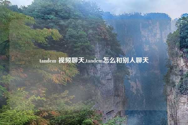 tandem 视频聊天,tandem怎么和别人聊天