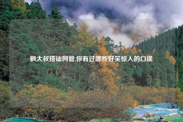 枫大叔搭讪网管,你有过哪些好笑惊人的口误