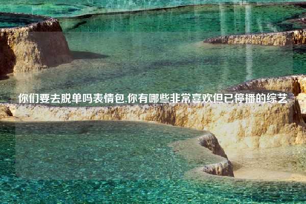 你们要去脱单吗表情包,你有哪些非常喜欢但已停播的综艺