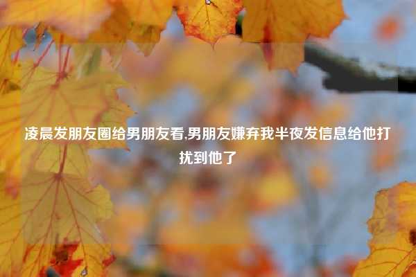 凌晨发朋友圈给男朋友看,男朋友嫌弃我半夜发信息给他打扰到他了