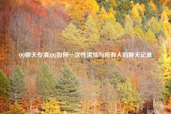 QQ聊天专清,QQ如何一次性清除与所有人的聊天记录