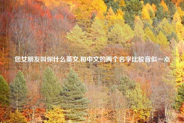 您女朋友叫你什么英文,和中文的两个名字比较音似一点