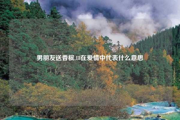 男朋友送香槟,18在爱情中代表什么意思