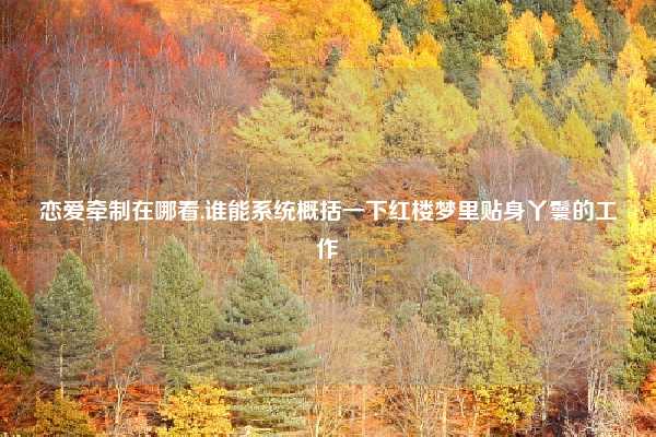 恋爱牵制在哪看,谁能系统概括一下红楼梦里贴身丫鬟的工作