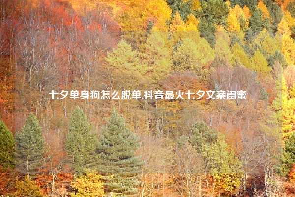 七夕单身狗怎么脱单,抖音最火七夕文案闺蜜