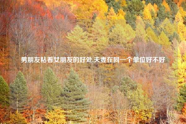 男朋友粘着女朋友的好处,夫妻在同一个单位好不好