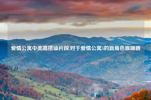 爱情公寓中美嘉搭讪片段,对于爱情公寓5的新角色咖喱酱