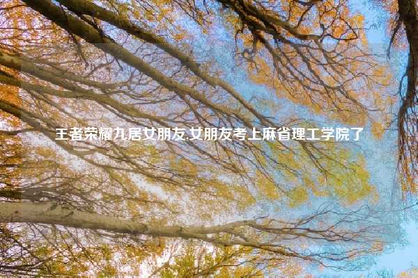 王者荣耀九居女朋友,女朋友考上麻省理工学院了