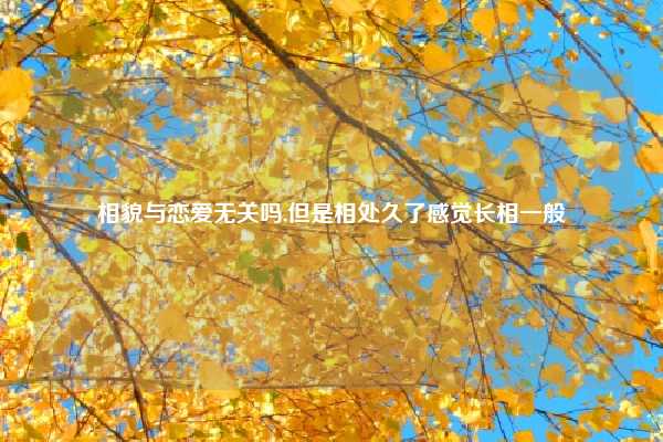 相貌与恋爱无关吗,但是相处久了感觉长相一般