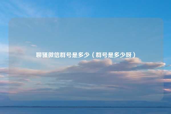 聊骚微信群号是多少(群号是多少呀)