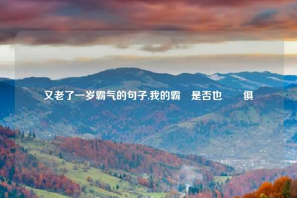 又老了一岁霸气的句子,我的霸氣是否也與時俱進