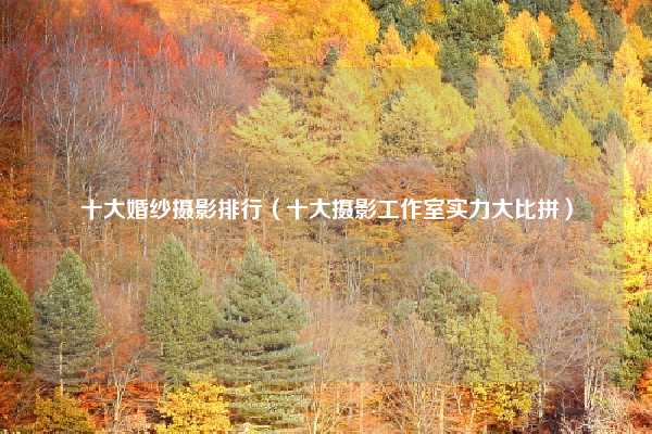 十大婚纱摄影排行（十大摄影工作室实力大比拼）